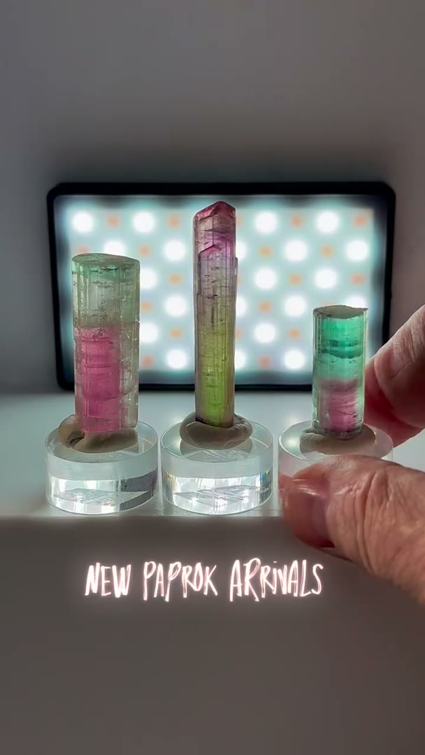 New Paprok Arrivals