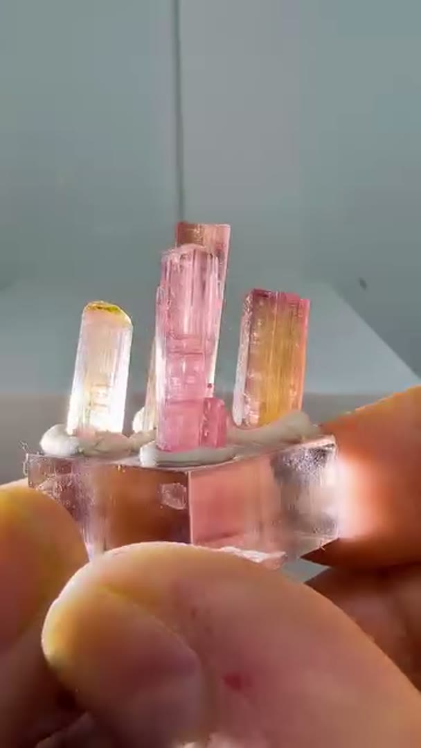 Pachigram Tourmalines