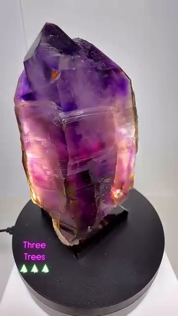 Wowza Epic Three Trees Amethyst Namibia
