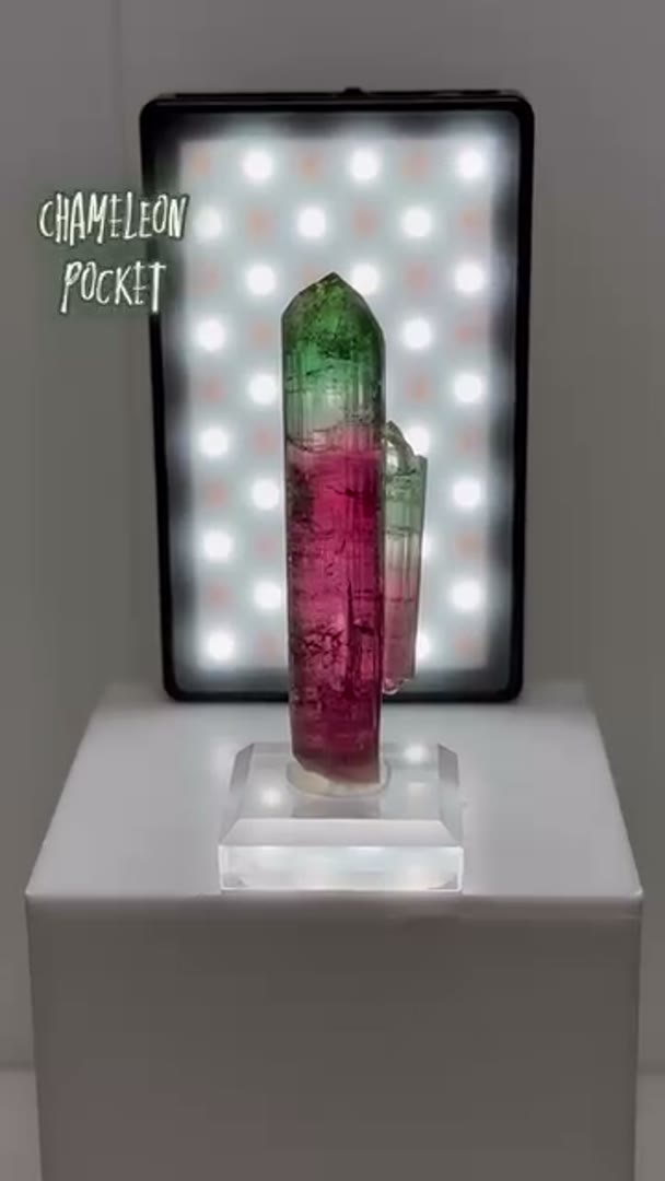 Chameleon Pocket Tourmaline
