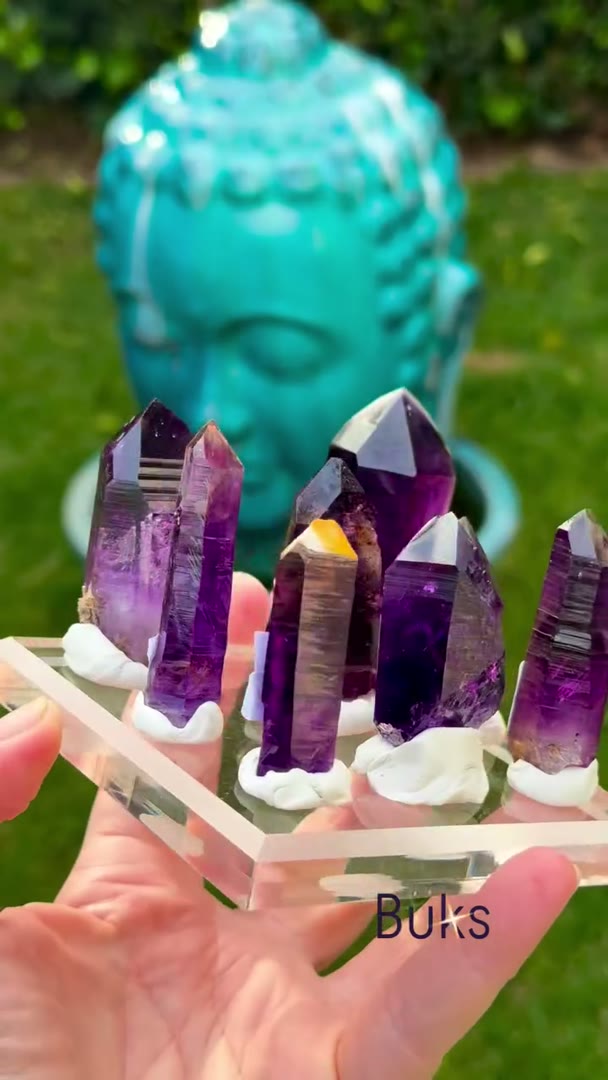 Some BUKS CLAIM Amethyst BEAUTIES