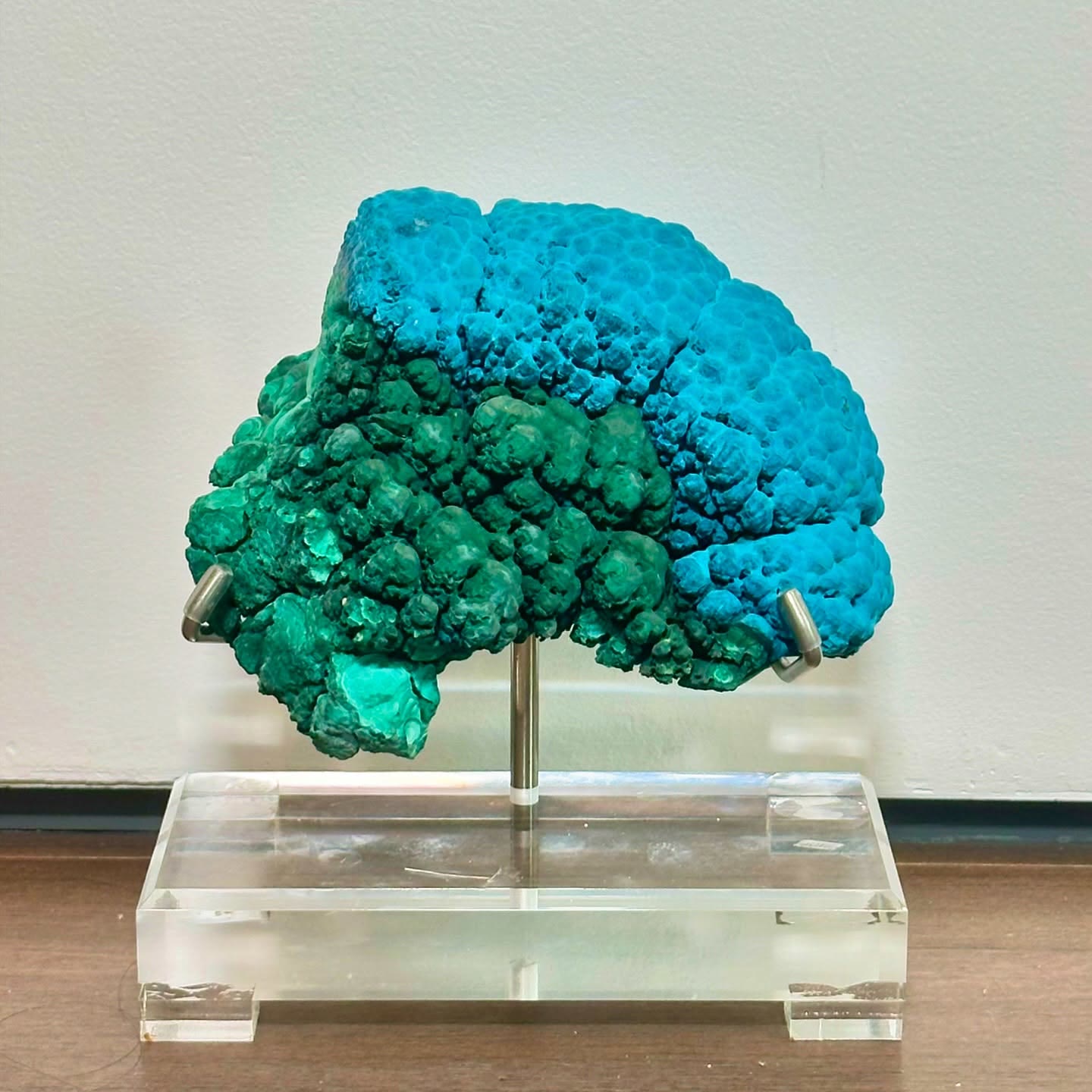 MASSIVE Malachite & Chrysocolla specimen from Congo on custom stand