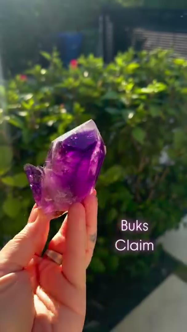 Absolute Gem BUKS CLAIM Amethyst