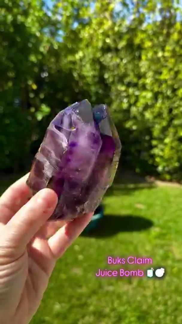 Absolute Juicy BUKS CLAIM Amethyst