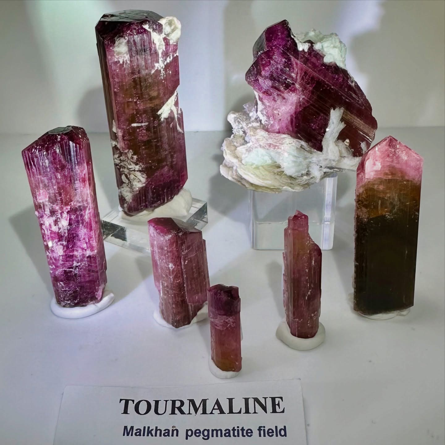 Stunning Group of Tourmalines from