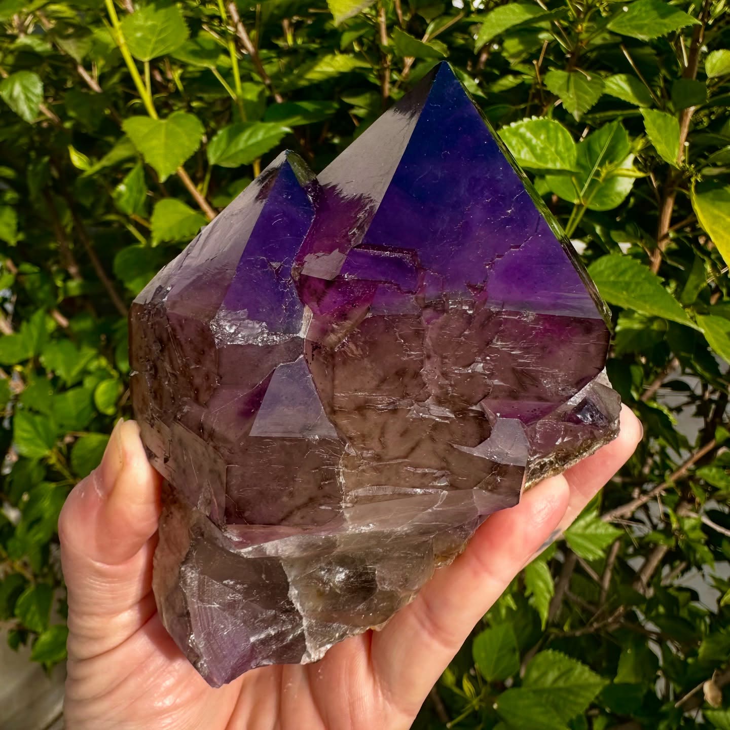 Amethyst and Smokey Quartz  from “The Galaxy Pocket“ 2024 Pilbara Region,…