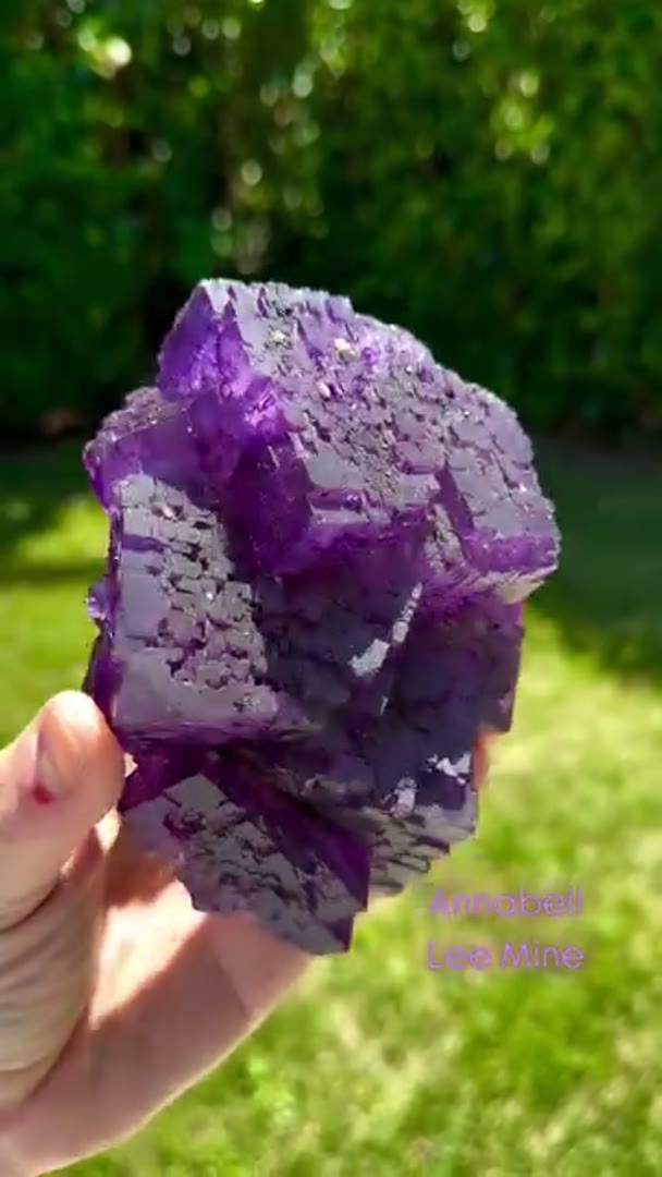 Annabell Lee Mine Fluorite