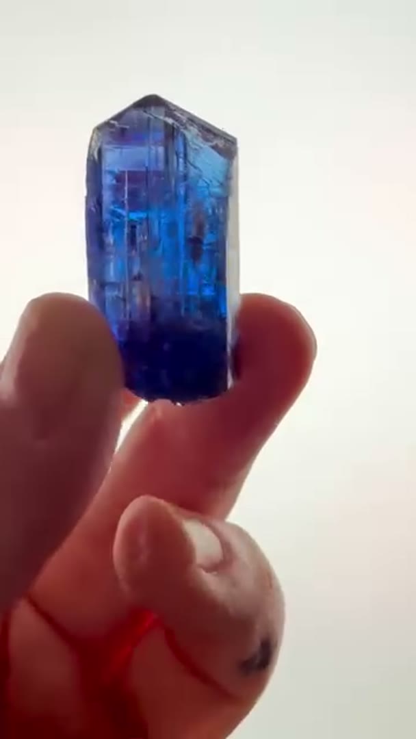 MESMERIZING TANZ