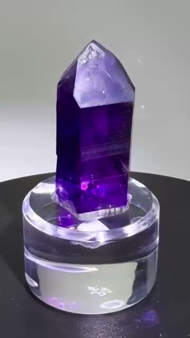 Absolute Gem BUKS CLAIM Amethyst