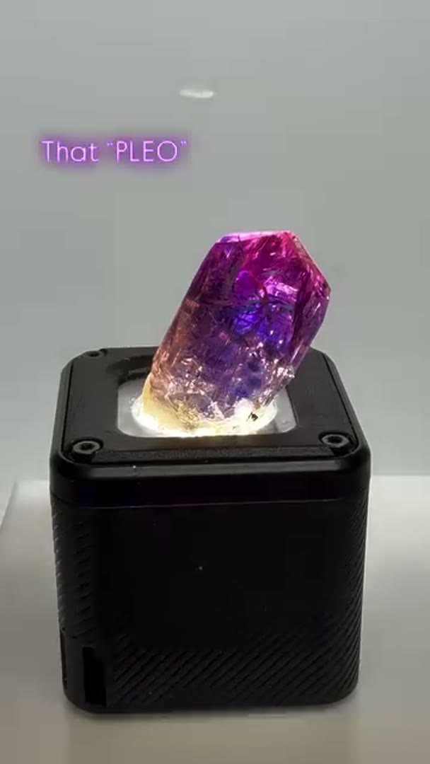 TANZANITE (available) … Check the Pleo on this Ripper… Love me some banger…