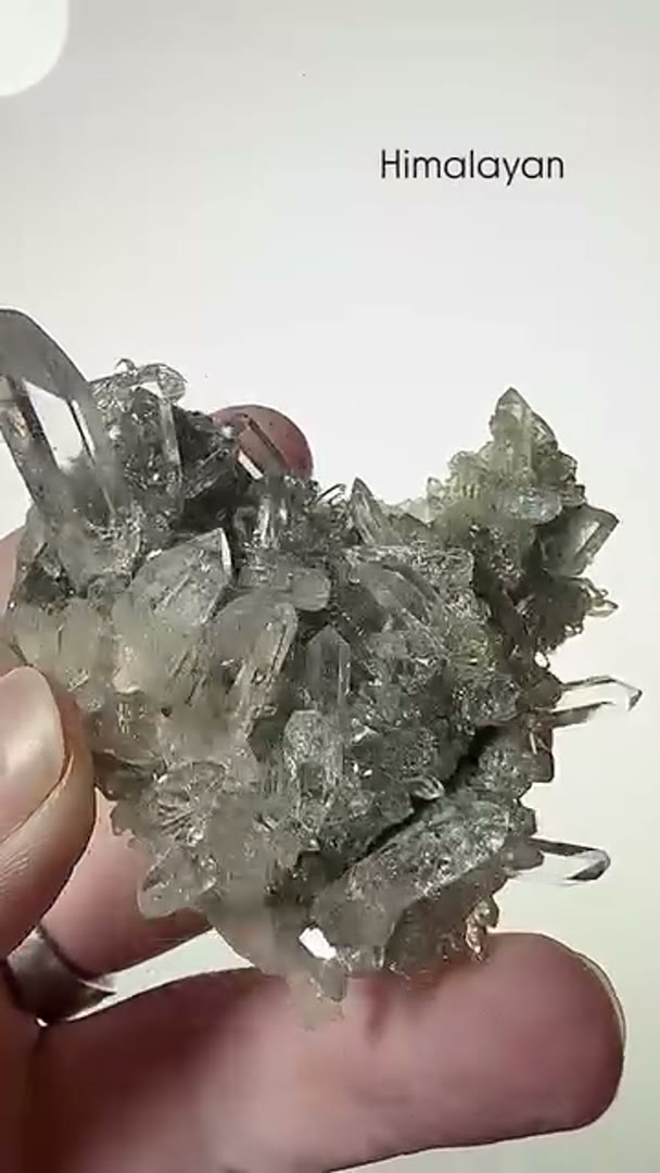 Himalayan Gem