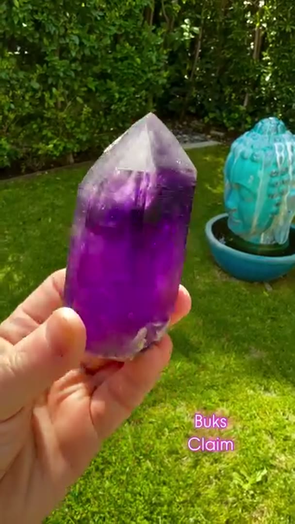 Absolute Juicy BUKS CLAIM Amethyst