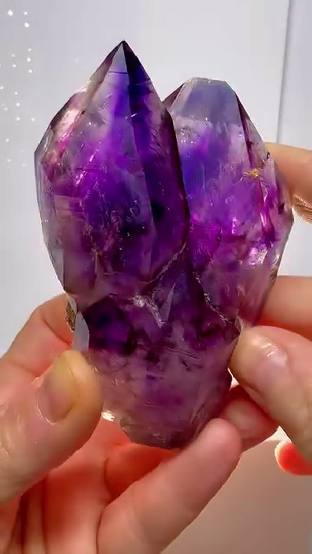 Absolutely epic addition to the fam… truly amazed by natures work of art……