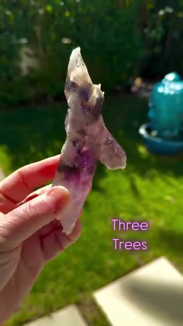 Banger Three Trees from