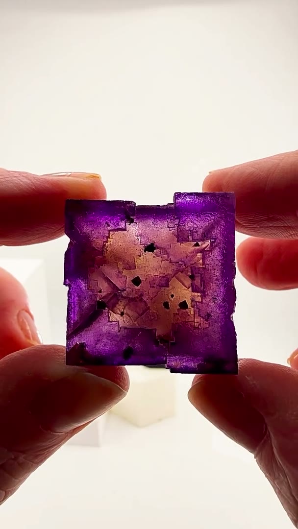 Annabel Lee perfection in a single cube
