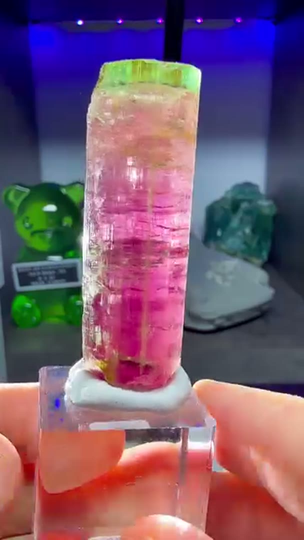 Agua Branca tourmalines are known for their vibrant colors and are mined in…