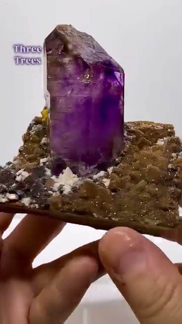 Beauty Three Trees Amethyst from Namibia on Matrix