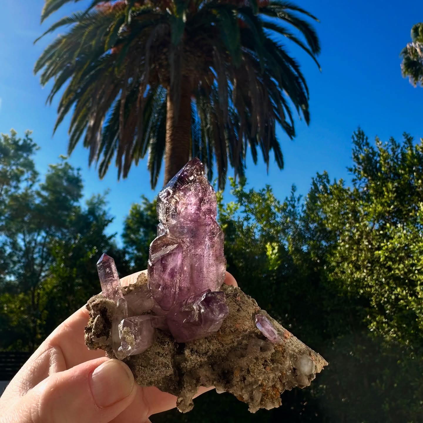 Veracruz Amethyst on Matrix