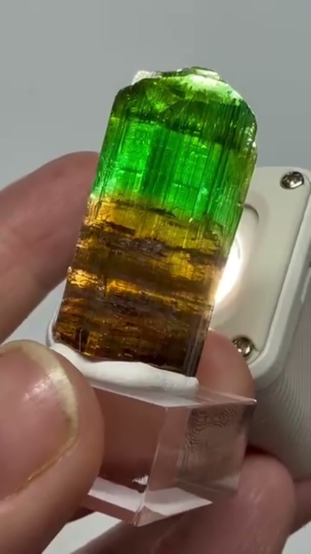 What an absolute beauty with the Apple Green and Root Beer Champagne base…