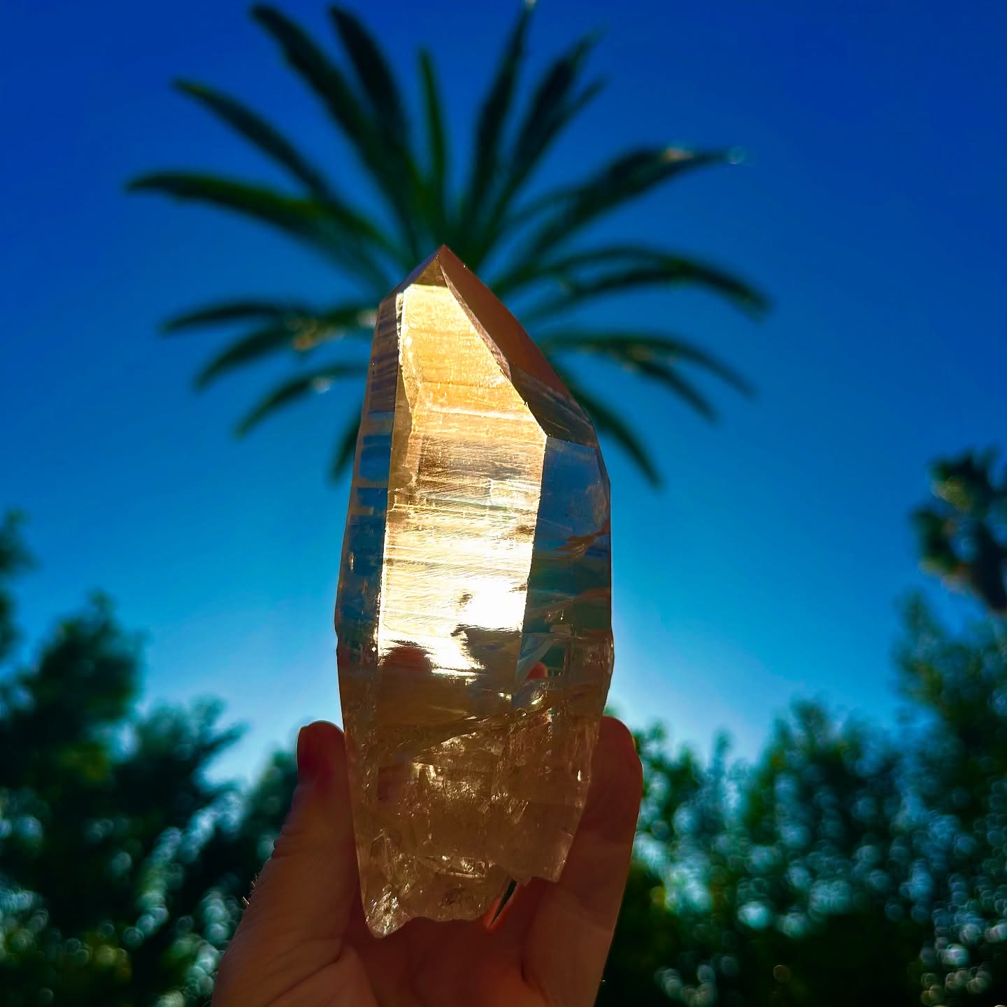Soft Polished Lemurian Serra Do Cabral