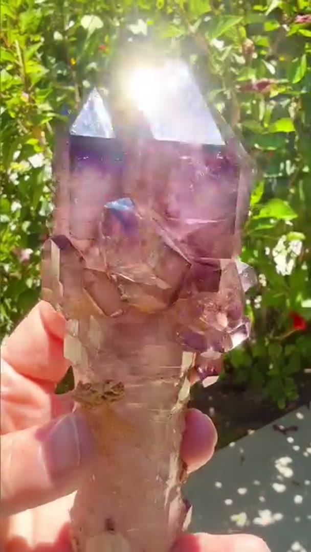 One of the most EPIC CHIBUKU Scepters