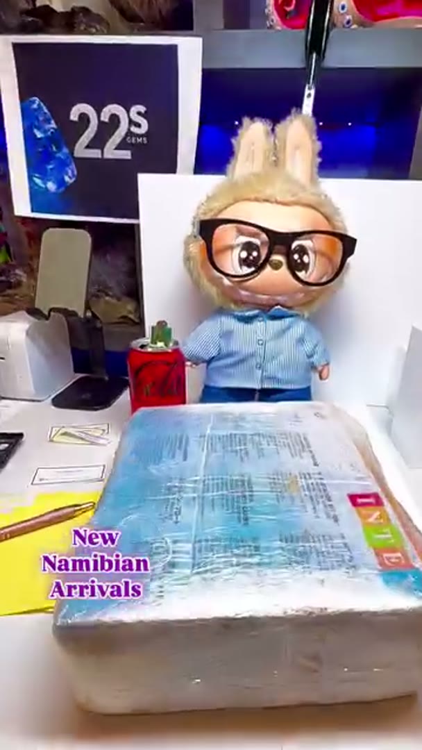 New Namibian Arrivals