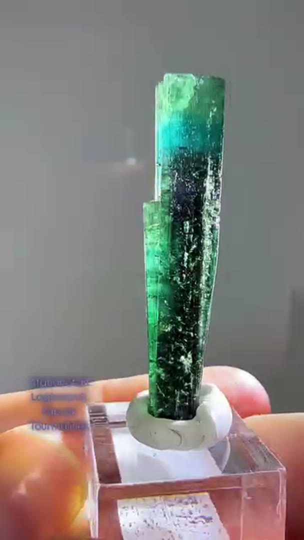 New Paprok & Laghman Afghanistan Tourmalines
