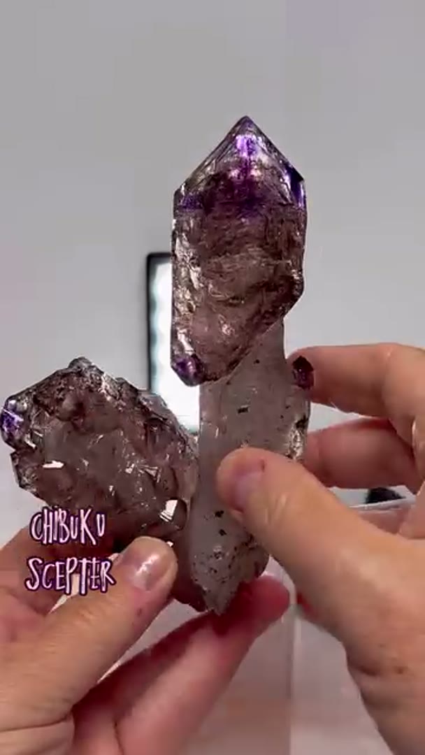 EPIC SPECTACULAR CHIBUKU Scepters
