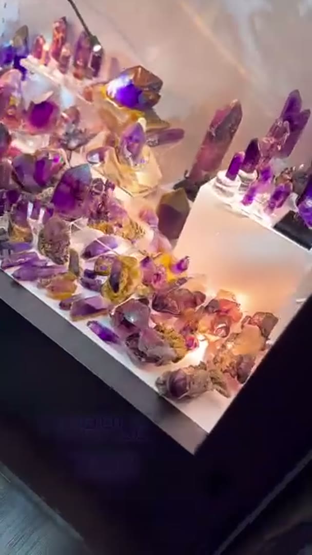 ”Purple Village”