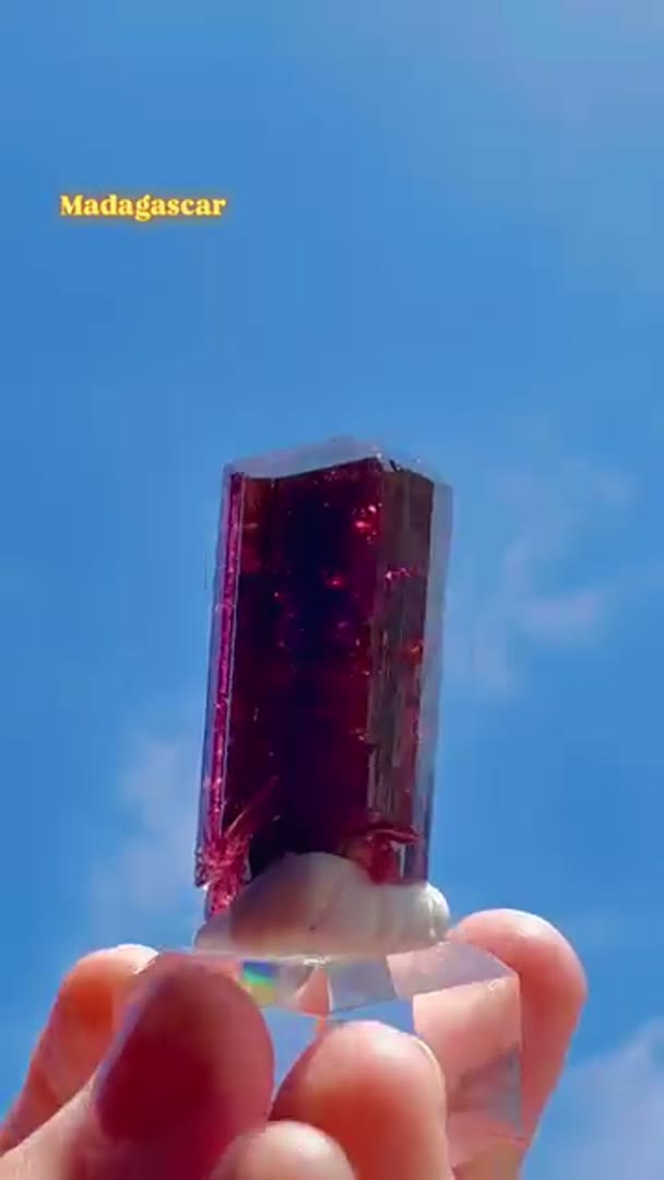 Liddicoatite from Madagascar Tourmaline