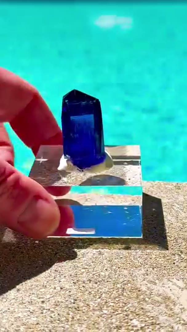 Epic tanzanite chillin’ poolside