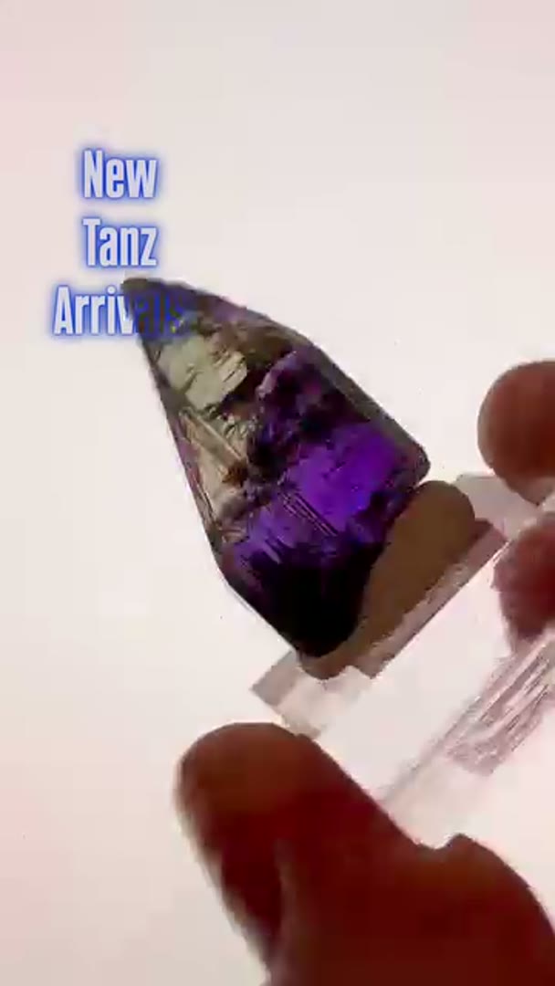 New Tanzanite arrivals with great Pleo