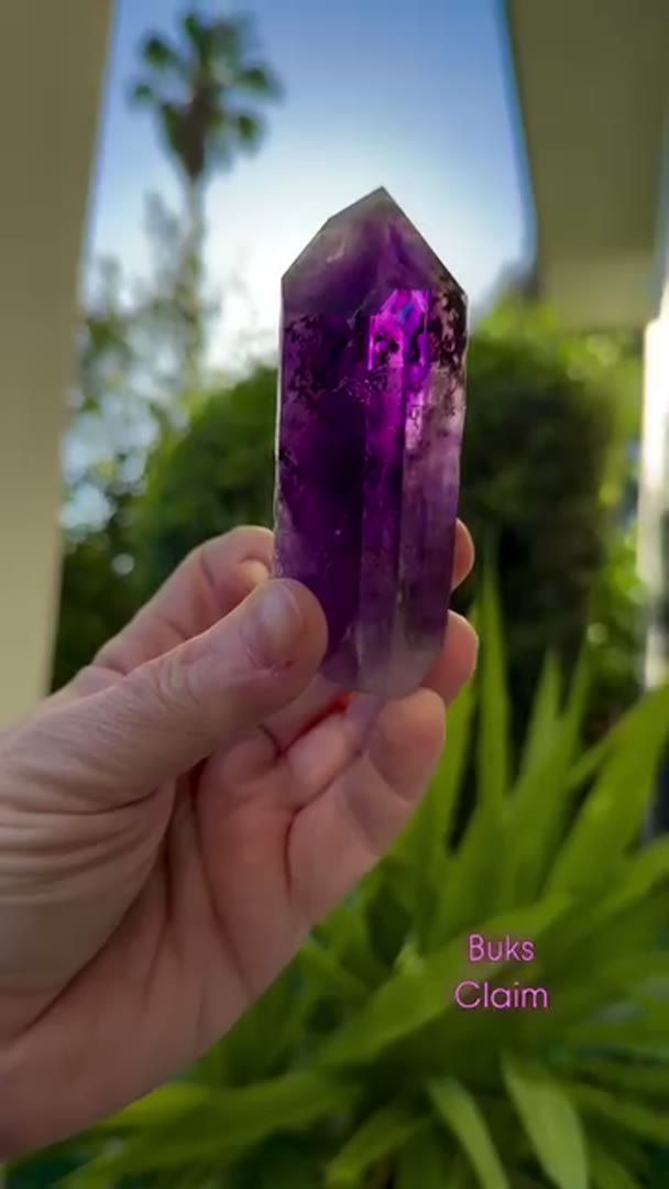 Absolute Juicy BUKS CLAIM Amethyst
