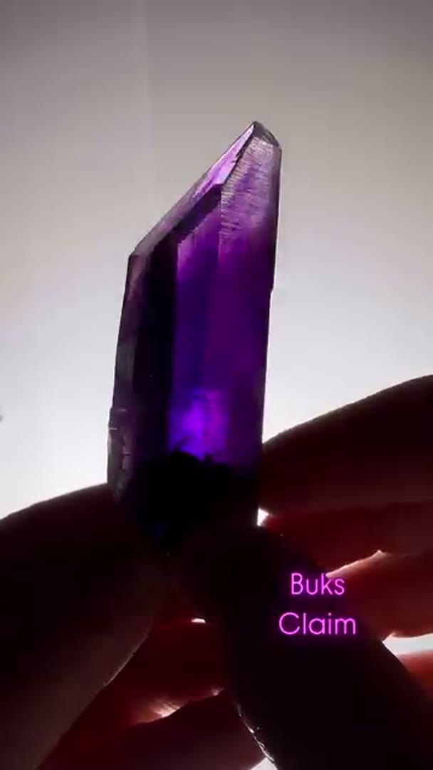 Those lines color and crispness what an absolute gem
