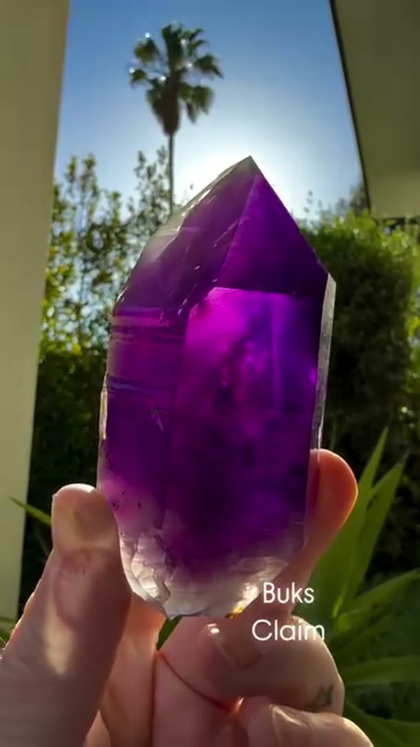 Absolute Juicy BUKS CLAIM Amethyst