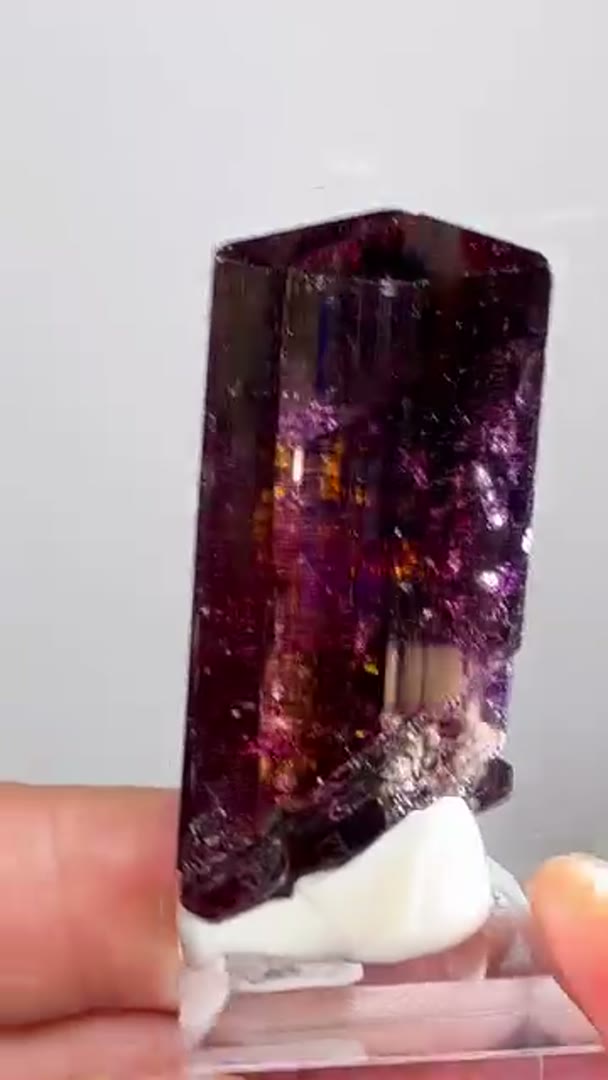 Liddicoatite from Madagascar Tourmaline