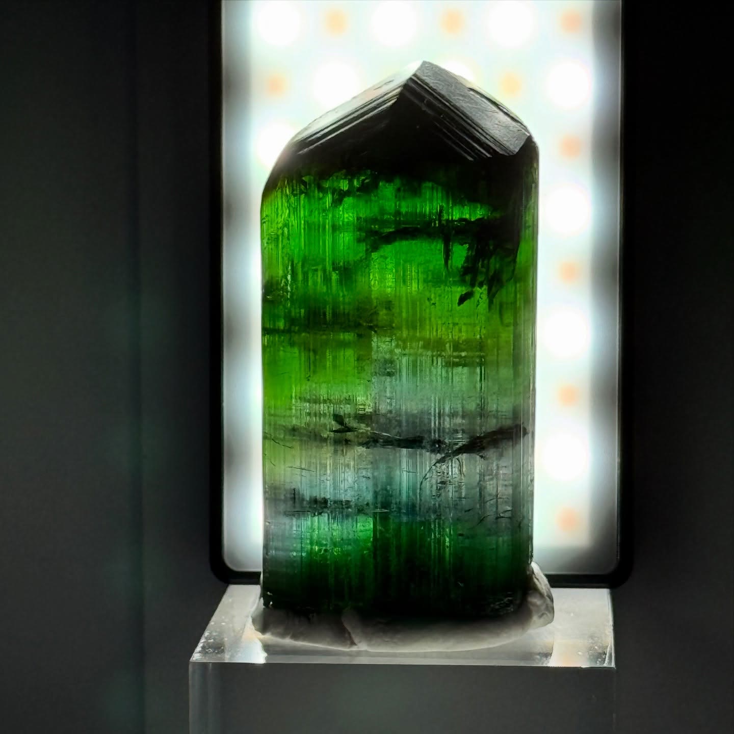 Absolute Beast  Tourmaline Tuesday