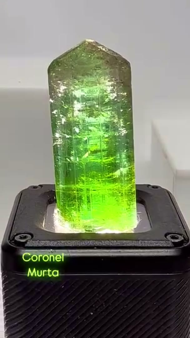 Coronel Murta Tourmaline