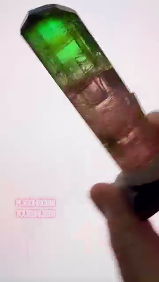 Tourmalines w that dope PLEO