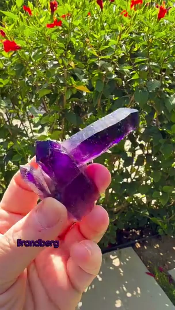 That deep deep purps