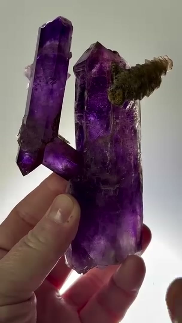 Absolute EPIC and Unique Statement Piece