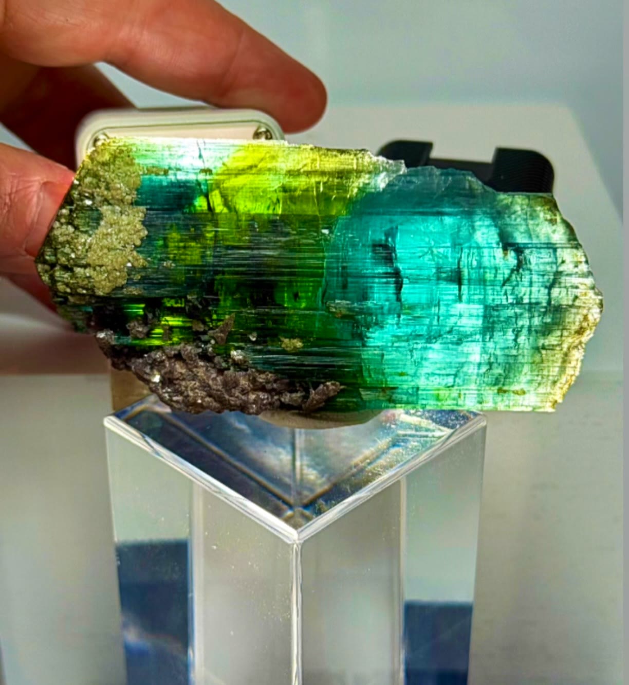 Beast Mode  Tourmaline