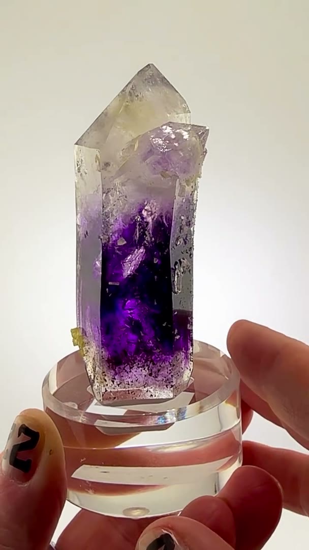 An Absolute Masterpiece of Nature