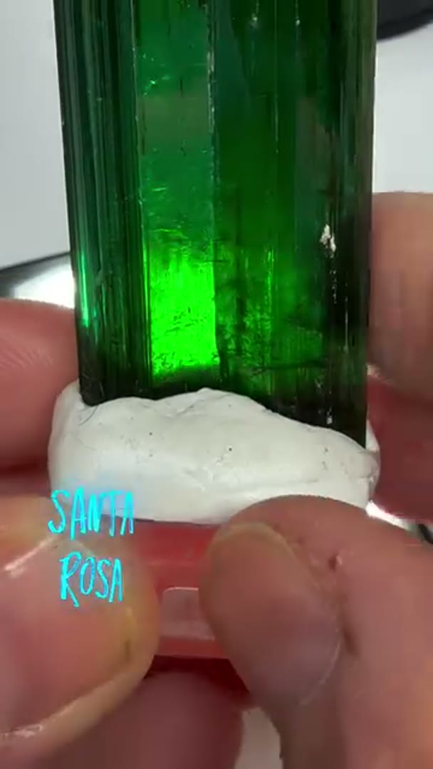 Santa Rosa Beauty