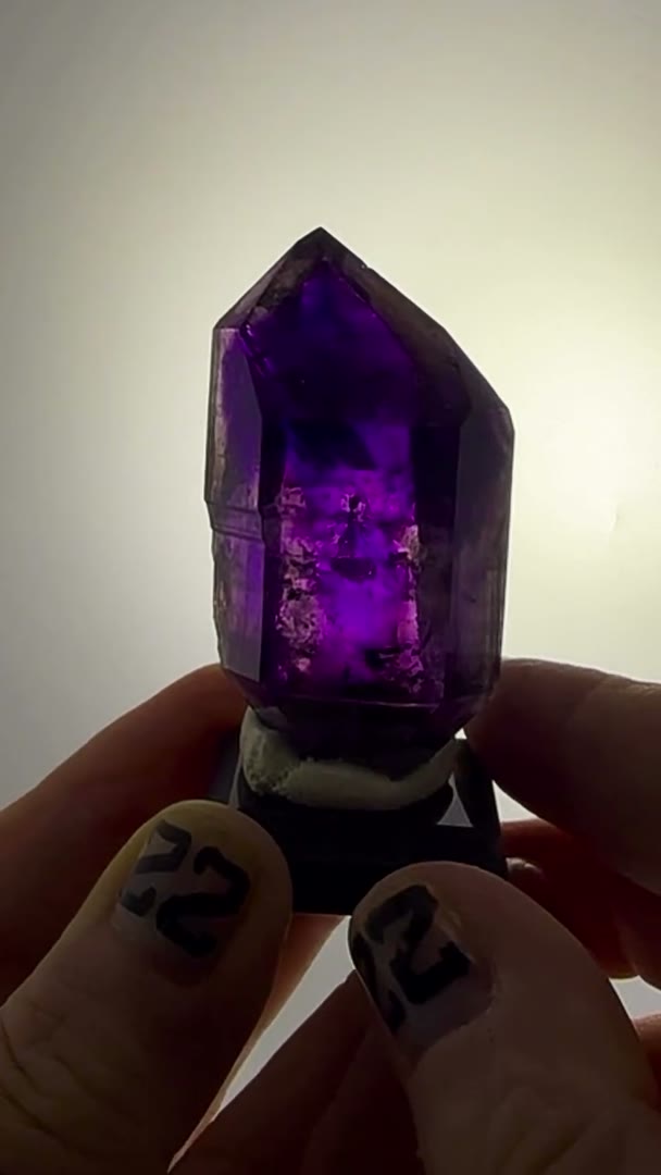 Deep saturation. Electric blurple flashes. Pure Buks Claim magic