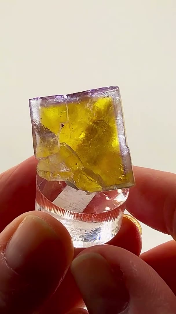 Illinois fluorite with a story to tell