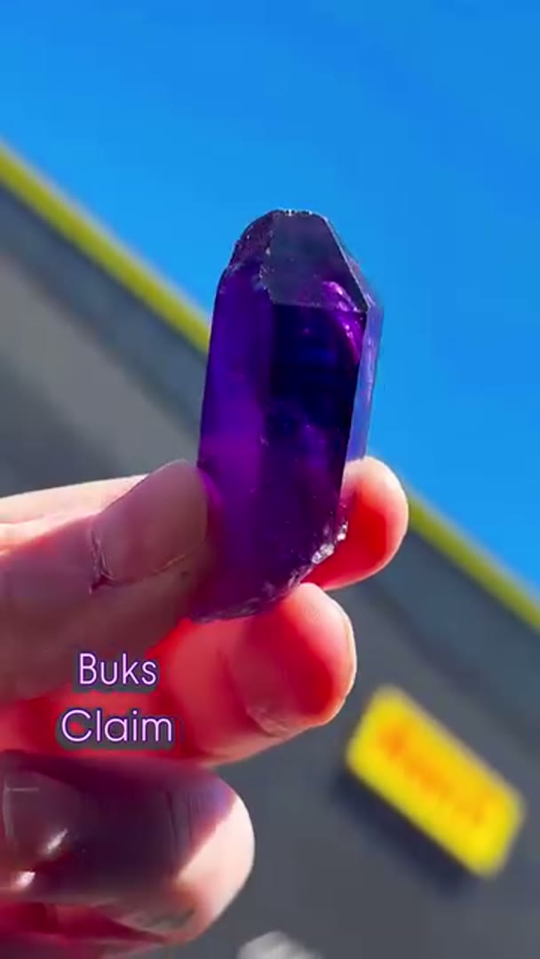 Buks Claim