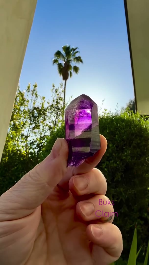Absolute Juicy BUKS CLAIM Amethyst