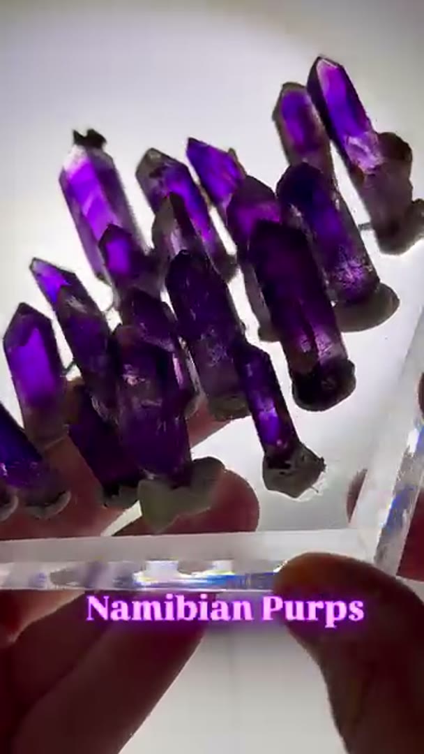 Namibian Purps Army Littles