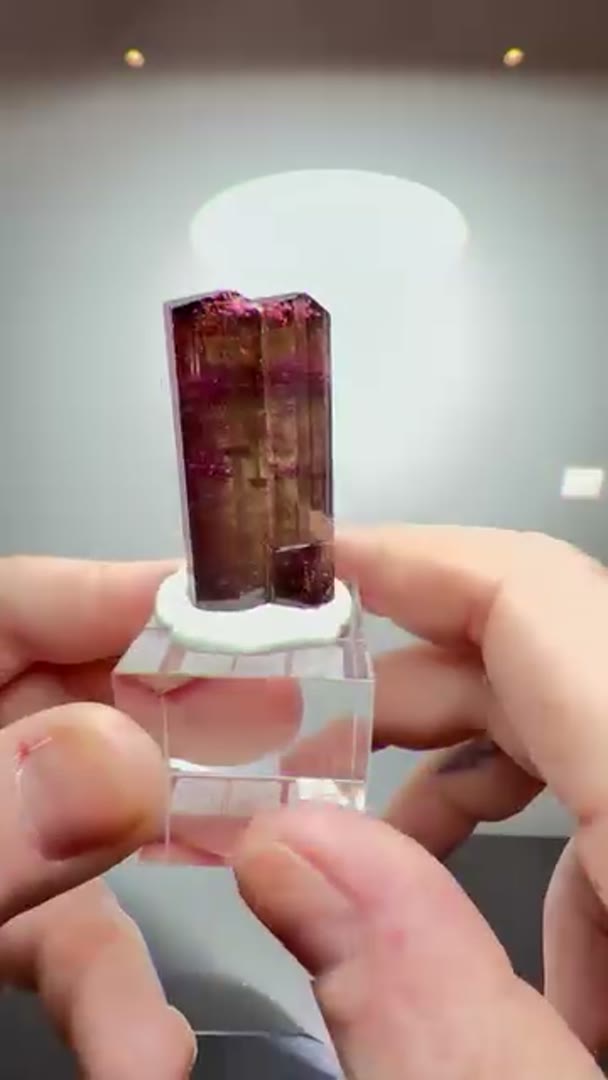 Liddicoatite from Madagascar Tourmaline
